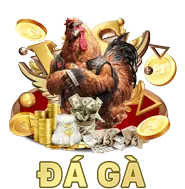 Cá cược Bóng Đá DN88 WIN